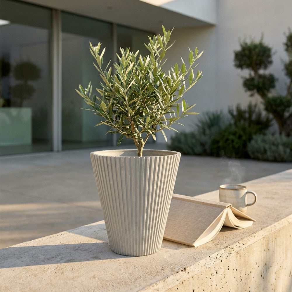 Vaso Piccolo Iris in fibra sintetica antracite posizionato su un muretto in cemento illuminato dal sole, arricchito da una pianta di ulivo, un libro aperto e una tazza in ceramica.
