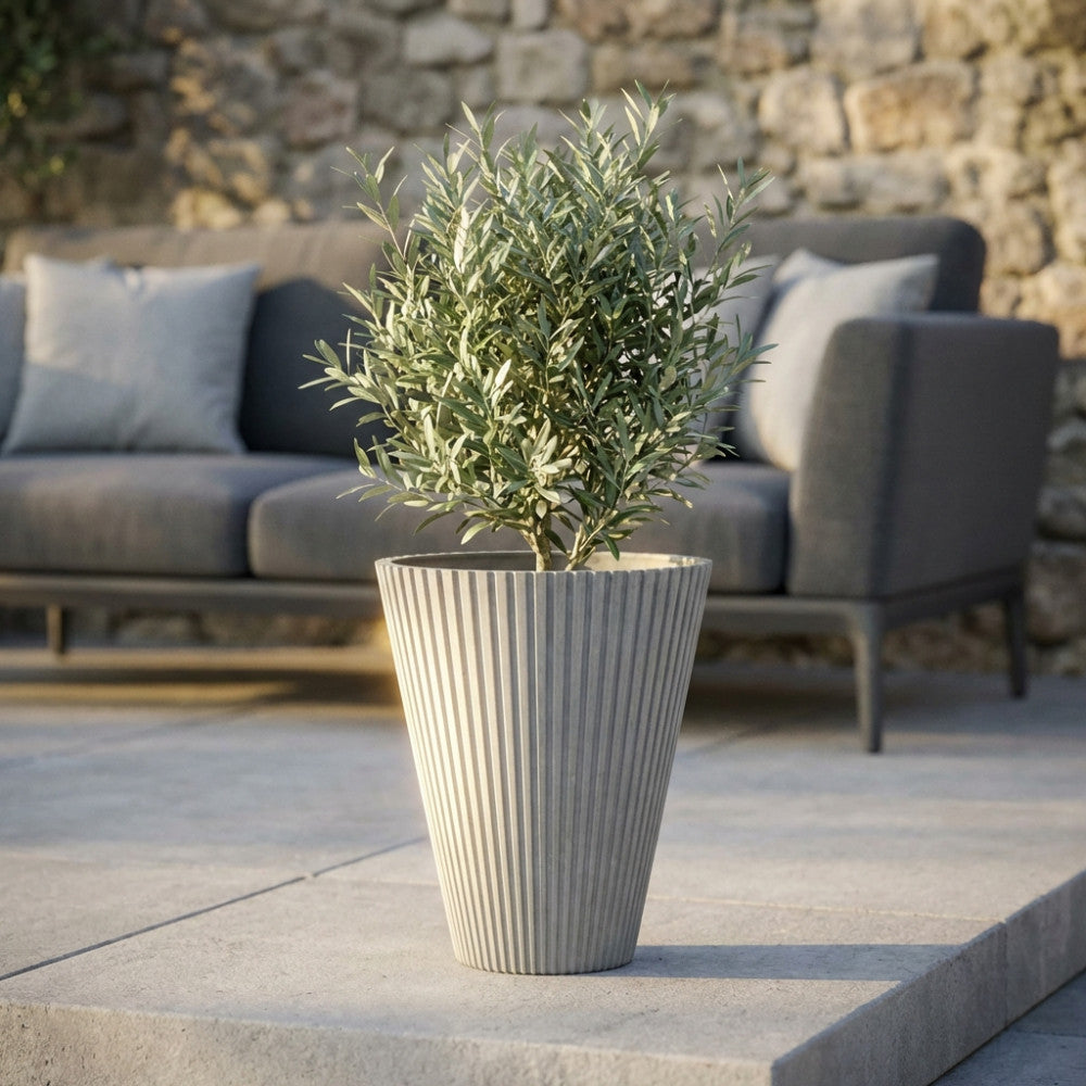 Vaso Piccolo Iris color antracite con pianta di ulivo, situato su una pavimentazione esterna elegante con un divano grigio e un muro in pietra rustica sullo sfondo.