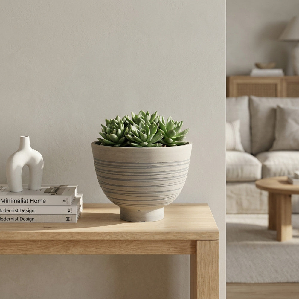 Vaso piccolo Narciso in fibra sintetica antracite, posizionato su una consolle in legno chiaro, arricchito da una pianta succulenta, in un ambiente living minimalista.