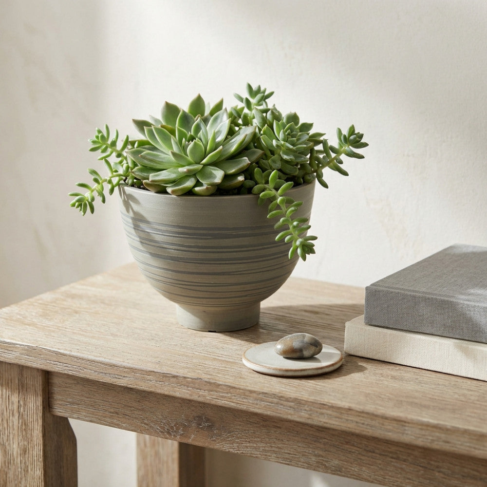Dettaglio del vaso Narciso antracite con pianta succulenta, appoggiato su un tavolo in legno rustico, accanto a libri di design e un piccolo sasso decorativo.